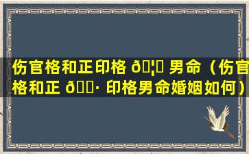 伤官格和正印格 🦈 男命（伤官格和正 🌷 印格男命婚姻如何）